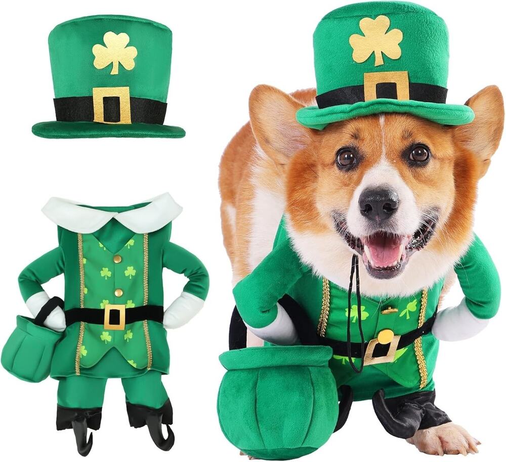 Leprechaun Dog Costume, 3 PCS Medium St Patrick’s Day Outfit w Hat & Gold Pot